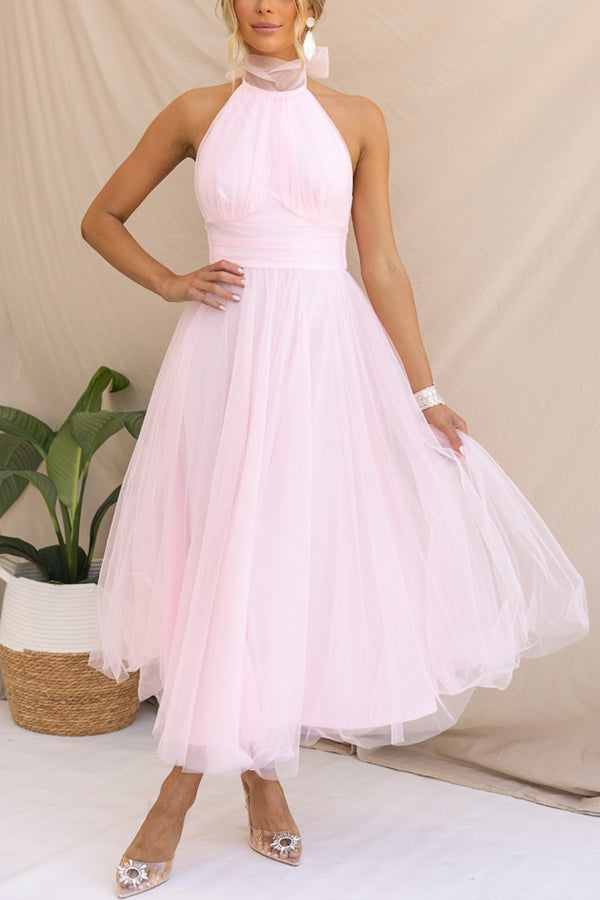 Fancy Tulle Dress